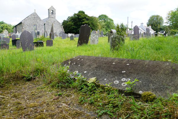 Photograph of Sarah Jacobs' grave